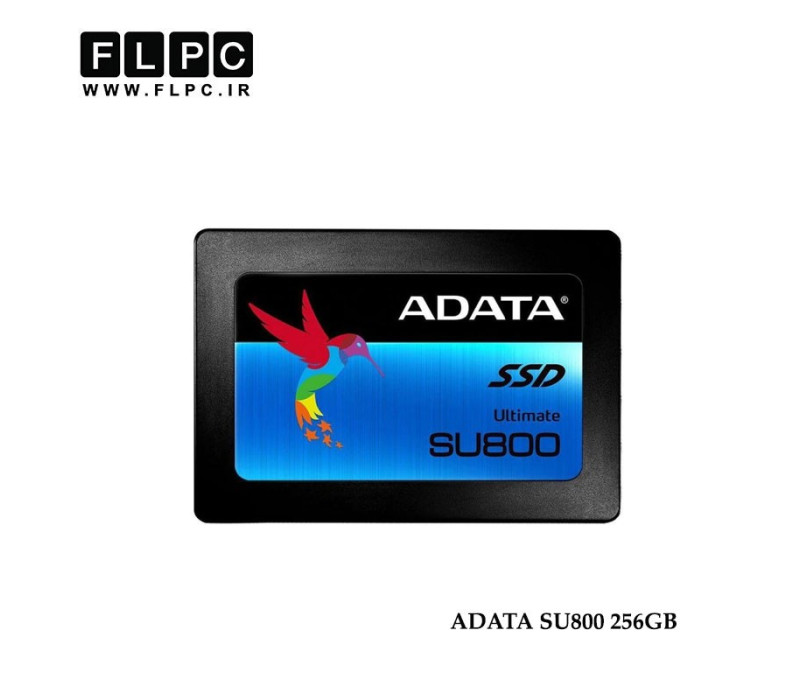 اس اس دی ای دیتا مدل SU800 ظرفیت 256 گیگابایت/ADATA SU800 Internal SSD Drive 256GB