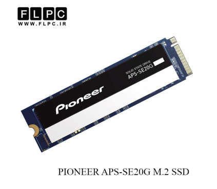اس اس دی یک ترابایتی پانیونیر/Pioneer 1TB APS-SE20G PCIe M.2 2280 Gen 3x4  SSD