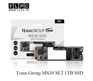 اس اس دی تیم گروپ / Team Group MS30 M.2 2280 1TB SSD