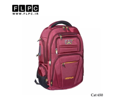 کوله پشتی لپ تاپ مدل cat-650