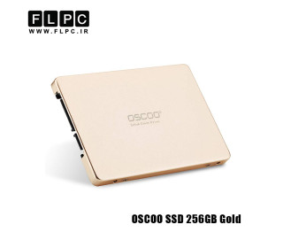 هارد SSD لپ تاپ 256 گیگابایت OSCOO مدل Gold